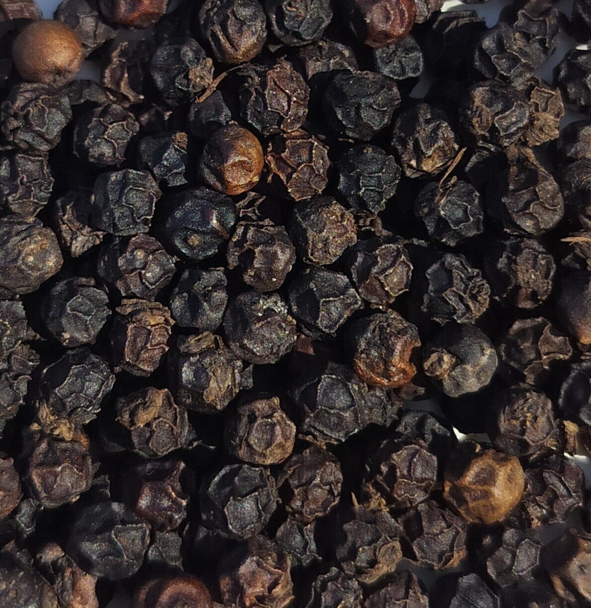 Black Pepper